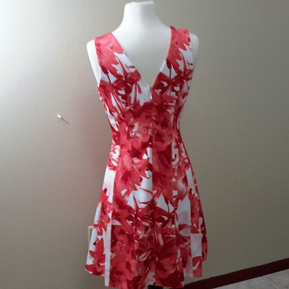 An elegant V- Neck  dress collection - Picture 2 of 3